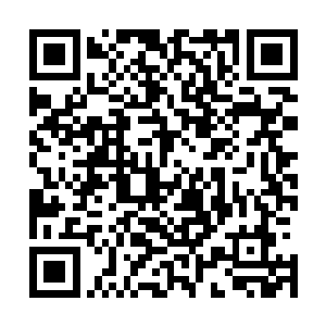 撒旦毕竟只是借用了命运权杖的力量才能使用命运之力而已二维码生成