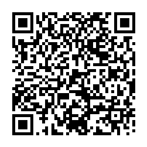 支持上海市劳动和社会保障局违规贷给不法企业主和有关公司巨额社保基金二维码生成