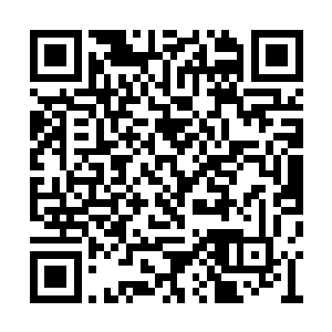 数行与先前那金色符文完全不同的文字显露而出二维码生成