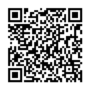 整个人都变得无比狰狞了起来的……正如他所说的那样二维码生成