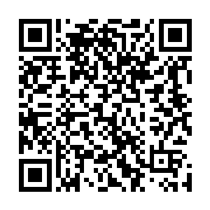 整个衔尾蛇之环明年能不能存在于中部大陆之上还不确定呢二维码生成