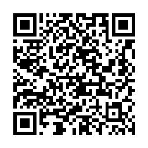 整个飞星界最顶尖的天文学家和观星学家都聚集在这里二维码生成