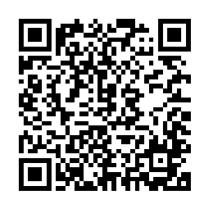方才安齐远在施法之时双眼蒙上的那层殷红血雾就足以说明一切二维码生成