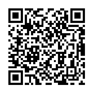 方晨轩只好把李籽芯的住处安排在了她的办公室里二维码生成