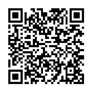 旁边的长生无奈的听着我俩过家家一样的说着投胎转世二维码生成