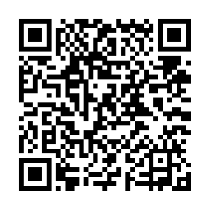 旋即他从还真塔内将那块足有磨盘大小的造化神玉拿了出来二维码生成
