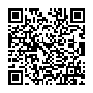 旋即长阳青云和实力仅次于他的长阳元无忌两人一同对付红莲二维码生成