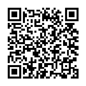 无数少女成少妇……这次则是带着种难以言说的慨然悲壮二维码生成