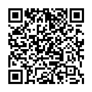 无数年的苦修让他们不仅拥有了太乙金仙的境界二维码生成