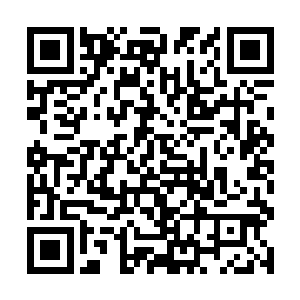 无数木羽短矢让血腥战场上似乎像是长了一层草出来二维码生成