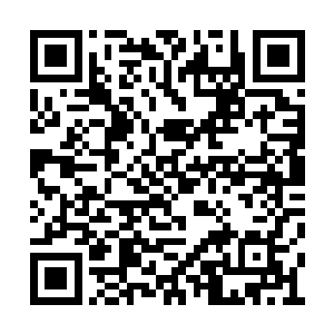 无比憧憬早日和自己的血肉之躯完美融合到一起二维码生成