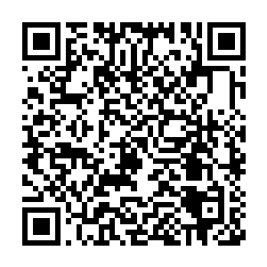 无苦的话让得三十六洞天福地的四位传奇宗师张大了嘴巴一脸的呆滞二维码生成