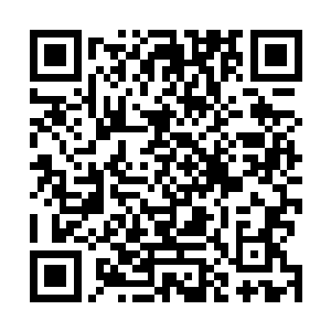 既然你家还有弟子在他手上……对方是否遮蔽了精血追踪二维码生成