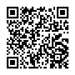 既然如此那他也没必要继续在我们江州大学呆下去二维码生成