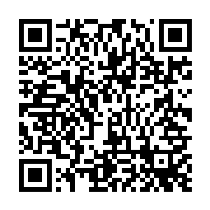 既然连一点小小的酵母菌和蚯蚓这些东西都有着非凡的二维码生成