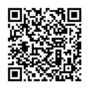 既紧张又期待的看着主审官们在主审席上核对大典二维码生成