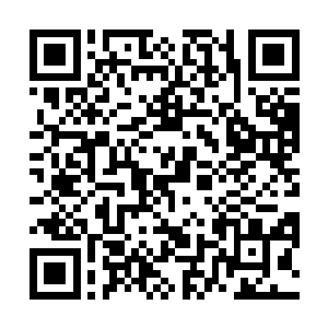 早前的一头白发也在沈阳提供的药水下重新恢复了漆黑二维码生成