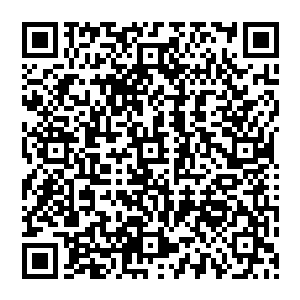 早就不好意思只在一边傻看原战一个人干活的胡胡和其他阿乌族勇士立刻明白了祭司大人的意思二维码生成