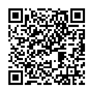 早就准备好长枪短炮的记者们也开始霹雳啪啦的按动着快门二维码生成