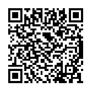 昨天还意气风发不把守城宫那位放在眼里的两位二维码生成