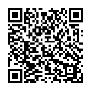 是不是他的养父和养母给他灌输了什么其他的想法二维码生成