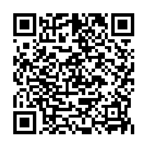 是不是我说爷爷奶奶他们自己回老家去了就行了二维码生成