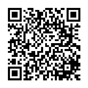 是什么样的事情能让我们的桑迪小姐这么慌乱……去放好洗澡水二维码生成