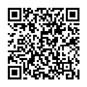 是因为宝莲经常告徐统领的状插手了不该插手的事吗二维码生成