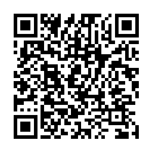 是那头儒艮王带着一大群的儒艮和不知名的水生动物出现了二维码生成