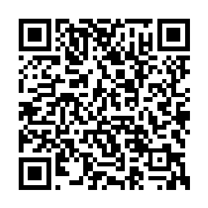 显然对于刚才两人的点到为止也是非常不满意啊二维码生成