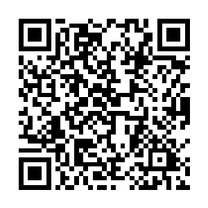 显然是不太喜欢这种恍如白蜡一般没有任何滋味的食物二维码生成