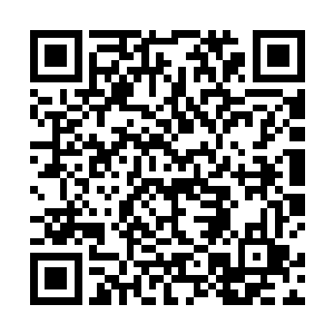 暗地里是商议海上航线……这个楚王对火候把握很敏锐二维码生成