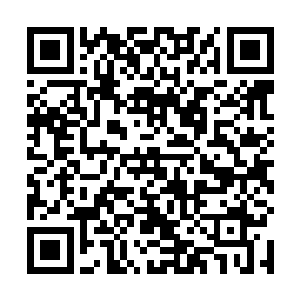 暗日魔术师的召唤术客观上让异世界的怪兽们团结起来二维码生成