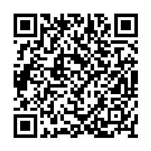 更不可能与已经成为星罗门副宗主的林皓天抗衡二维码生成