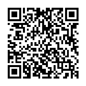 更不用提跟着一起来但是被拦在了城外的三千精兵和几百侍卫了二维码生成