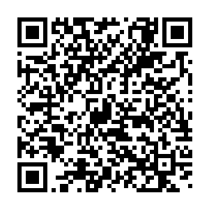 更令人恼火的是……那两个家伙居然真的相信你可以单独对付我……二维码生成