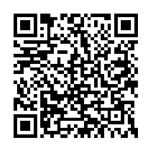 更何况土系战士遇到木系的长生族总是会吃点亏二维码生成