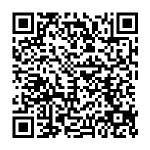 更新最快的小说对方的进攻和他们早已经部署形成的防御严重冲突二维码生成