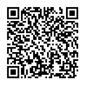 更是凶悍无比的向着那头蛇形海兽那健硕无比的身躯撞击了过去的二维码生成
