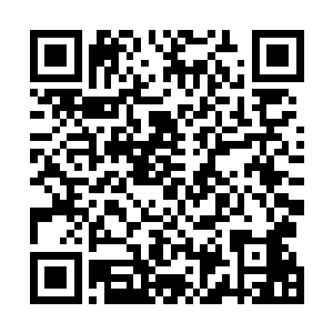 更是已经猜到自己之所以在黑海威压试炼中输给了华夏九二维码生成