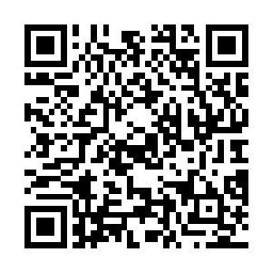 更是忍不住倒吸了一口气了……一只吸血黑蜈也就算了二维码生成