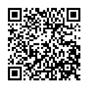 更重要的是新开发的智能手机系统还必须要尽量兼容更多的软件二维码生成