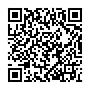 曾江把这种纯粹发出的性格冲突厌恶表现了出来二维码生成