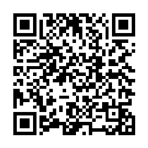 最主要就是原著书粉和电视主要群体观影习惯之间的平衡二维码生成