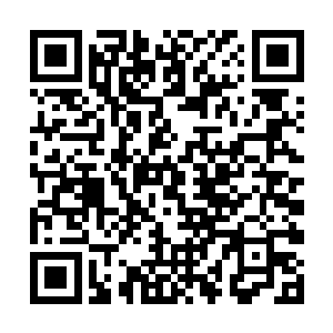 最新章节全文阅读然后小心翼翼往南面林子摸索过去二维码生成