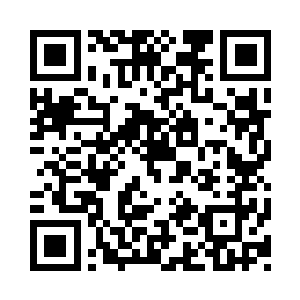 最终又培养成了他们的主城血脉分支的人二维码生成