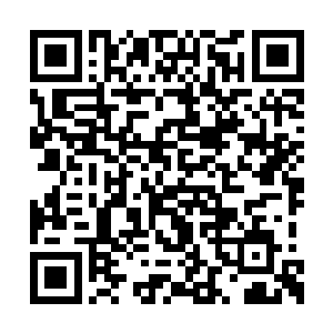 最近天街传言大人一去左督卫黑虎旗就开了杀戒二维码生成