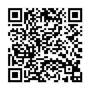 有些富贵人家的公子在进行赶考的时候便会提前服用此物二维码生成