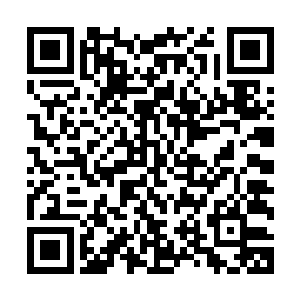 有妖兽在土地或者山神河伯等仙界官吏掌管范围之内残害生灵二维码生成