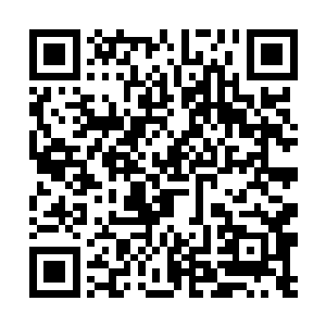 有次一个组织出重金聘请纳斯里去杀一张名单上的人二维码生成